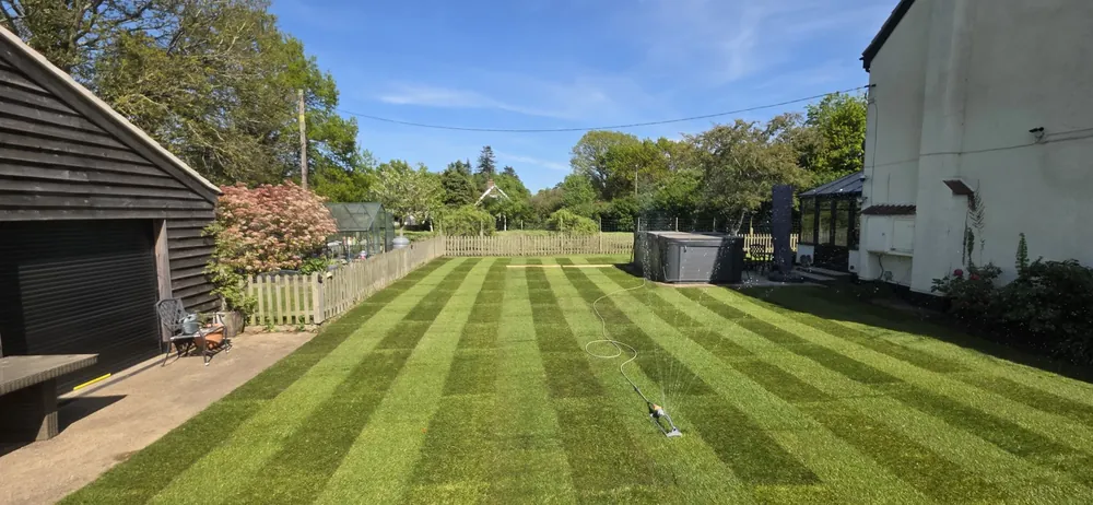 A long striped lawn beside a timber outbuilding in Norfolk