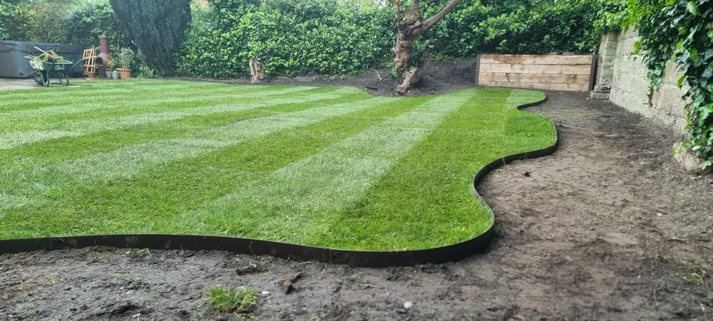 Replacement lawn laid in a Norfolk garden