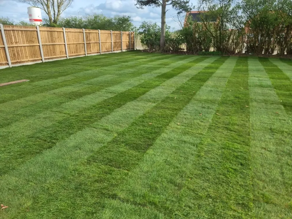 Freshly laid striped lawn in Norfolk