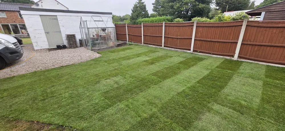 A striped new lawn beside a fenced boundary in a Norfolk garden