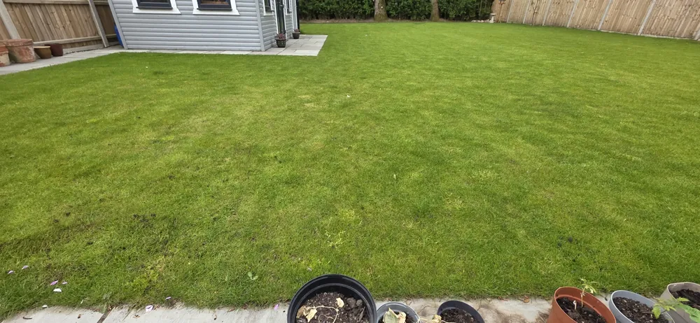 A level new lawn in front of a garden room in Norfolk