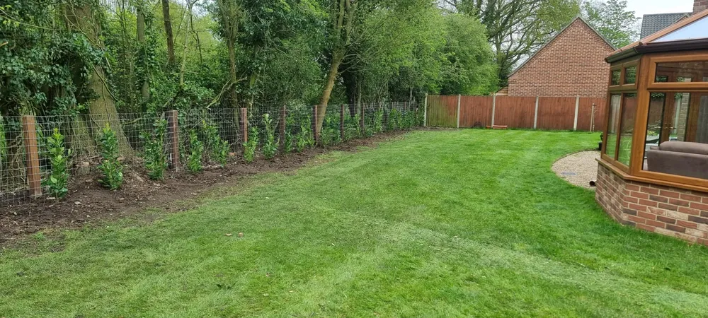A large, level lawn laid in a Norfolk garden