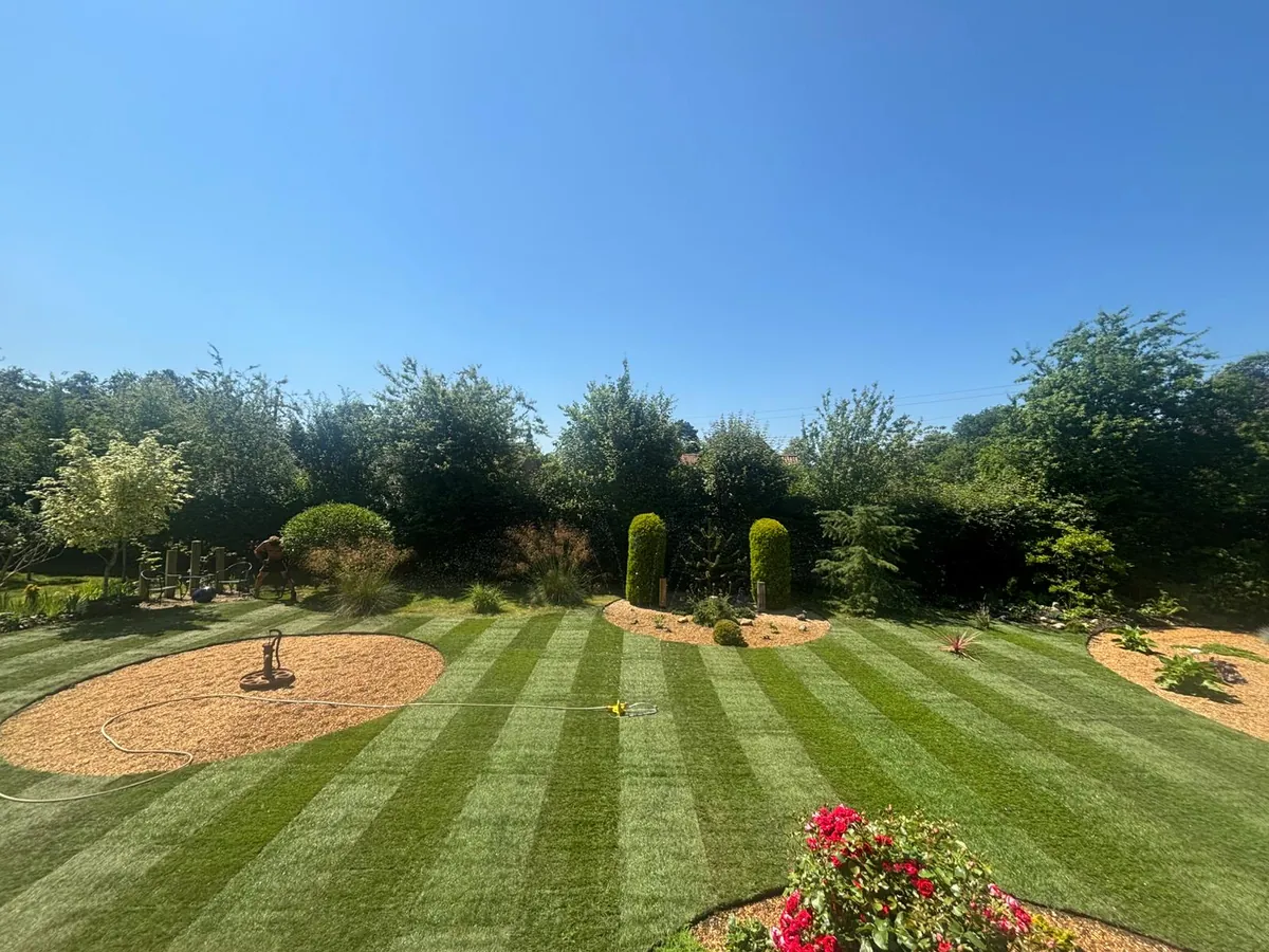 A striped lawn around circular gravel beds in a Norfolk garden