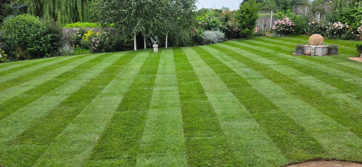 A wide, freshly striped lawn in a large Norfolk garden