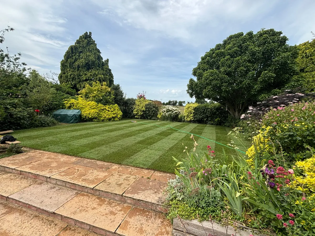 A newly striped lawn with flower borders and patio steps in a Norfolk garden